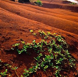 绑架模拟游戏《Life Eater》Steam页面上线 暂不支持简体中文